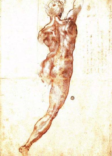 Michelangelo Buonarroti Study for a Nude oil painting image
